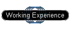 Working Experience